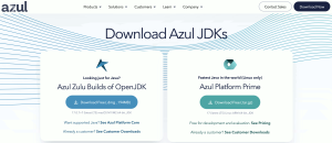 Azul Zulu OpenJDK > ダウンロード 1
