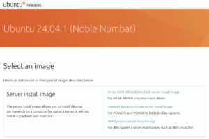 Ubuntu Server 24.04 Arm ダウンロード 8